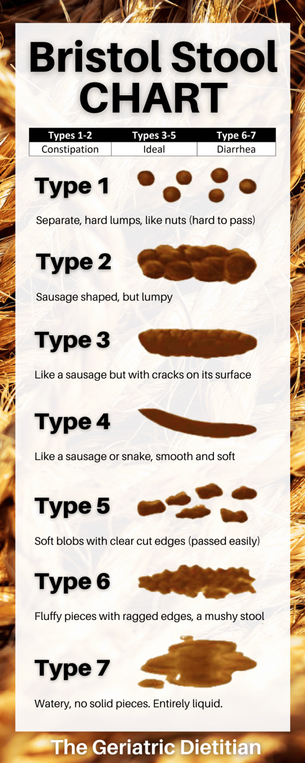 Printable Bristol Stool Chart Pdf - Printable Word Searches